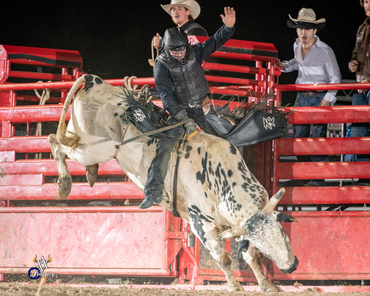 Bucking Bulls – Buck Wild Bucking Stock